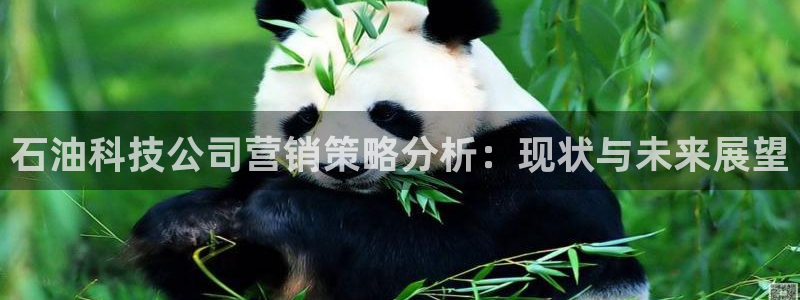 金年会pg麻将胡了：