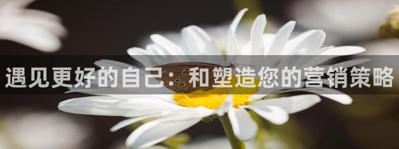 金年会金字招牌诚信：